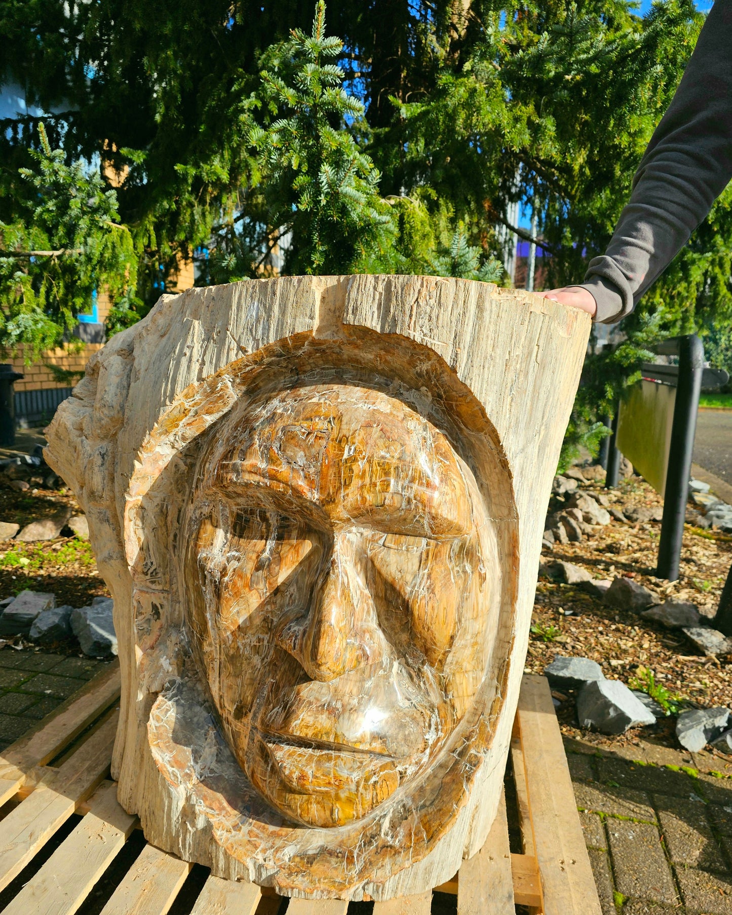 huge fossil wood carving