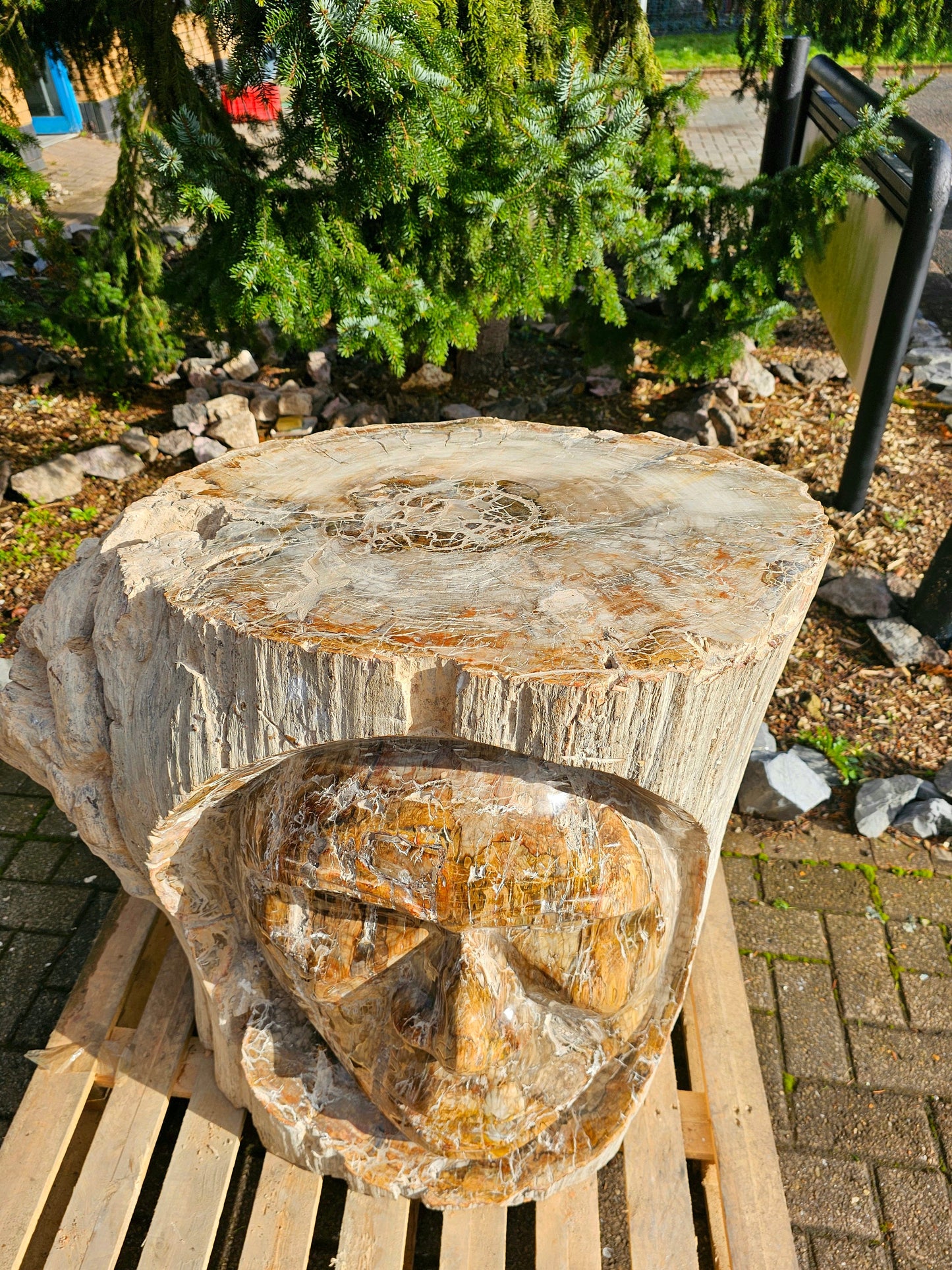 giant fossil wood carving