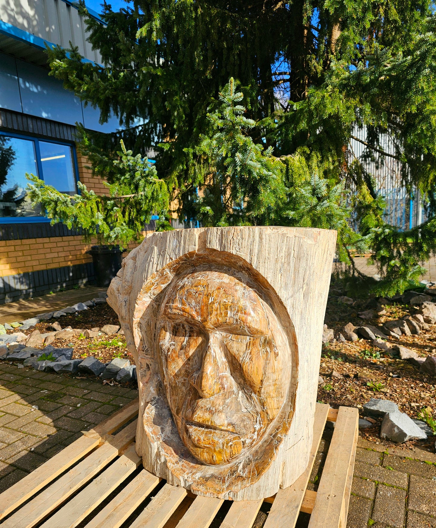 massive fossil wood sculpture