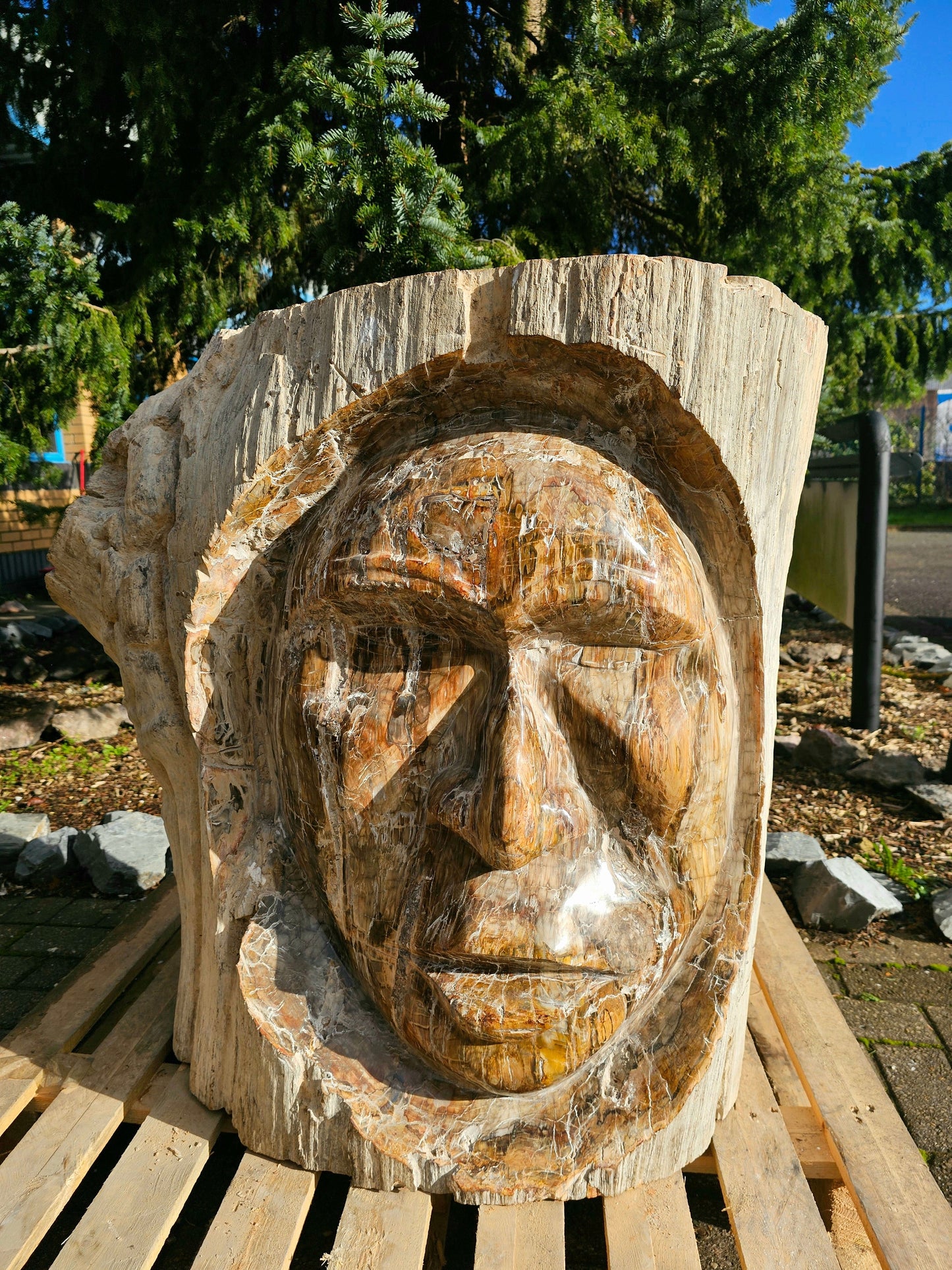 big fossil wood garden sculpture