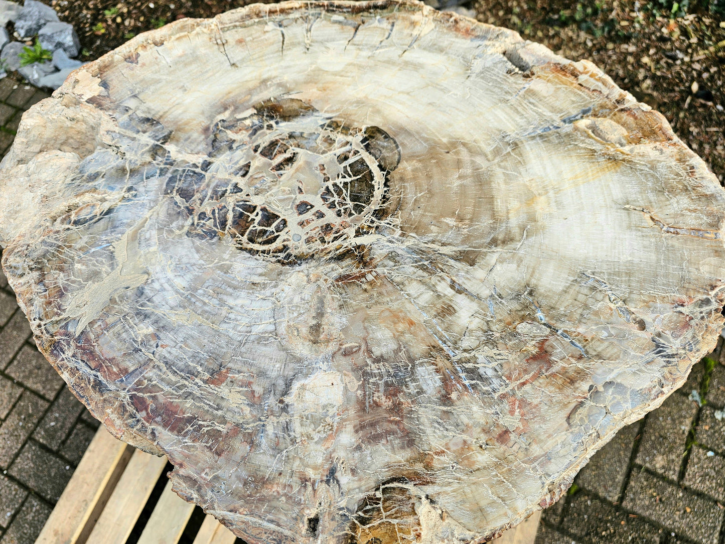 holistic interior design wood