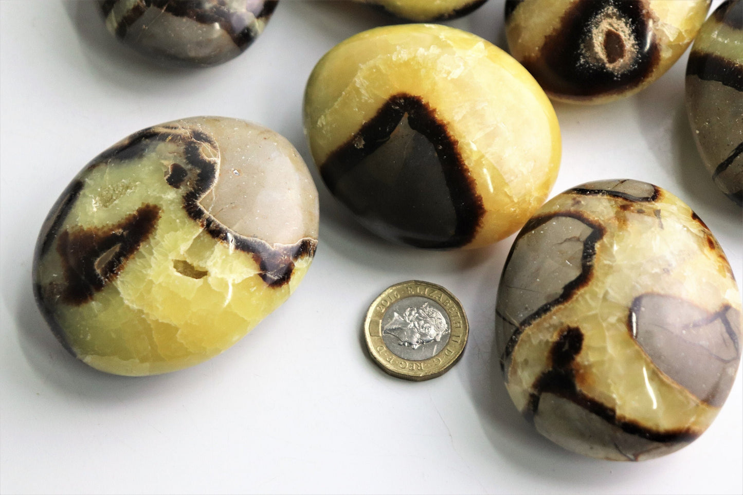 Large yellow septarian crystal palmstone gallet madagascar