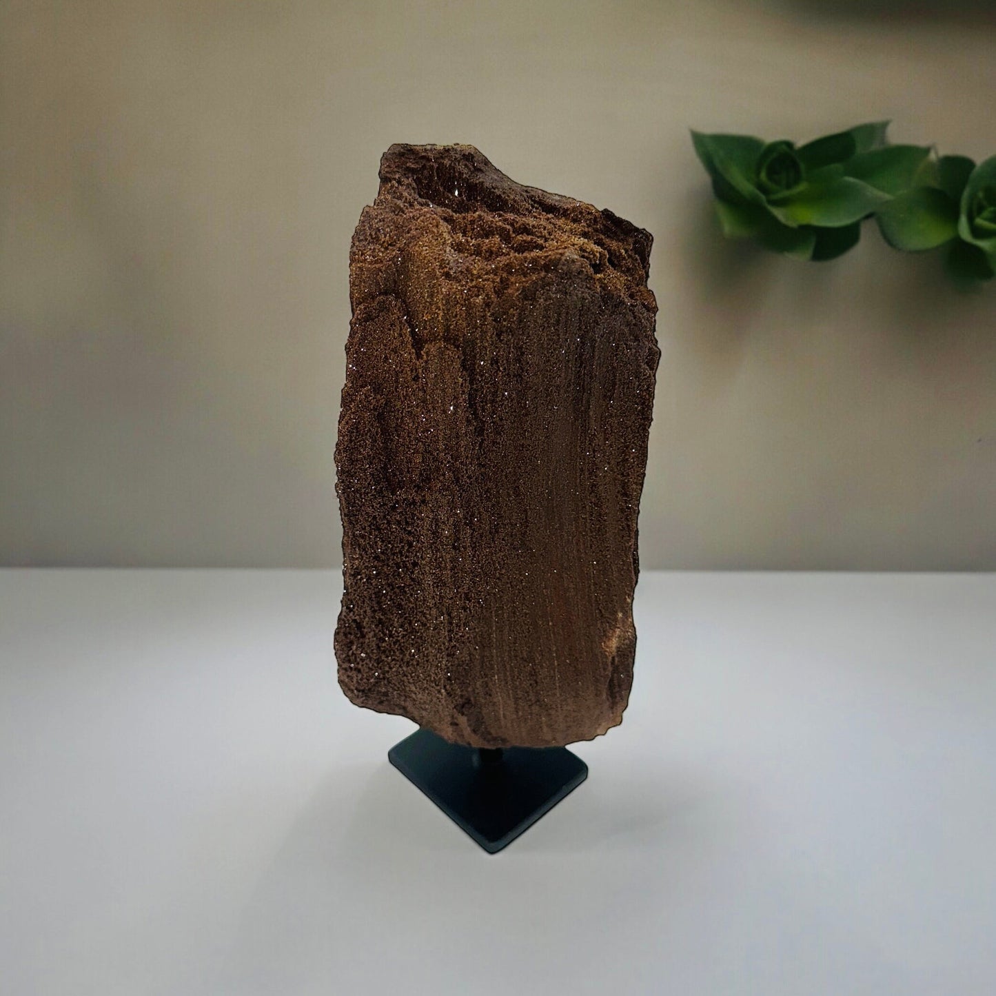 Petrified Wood with Quartz Druze Natural Art