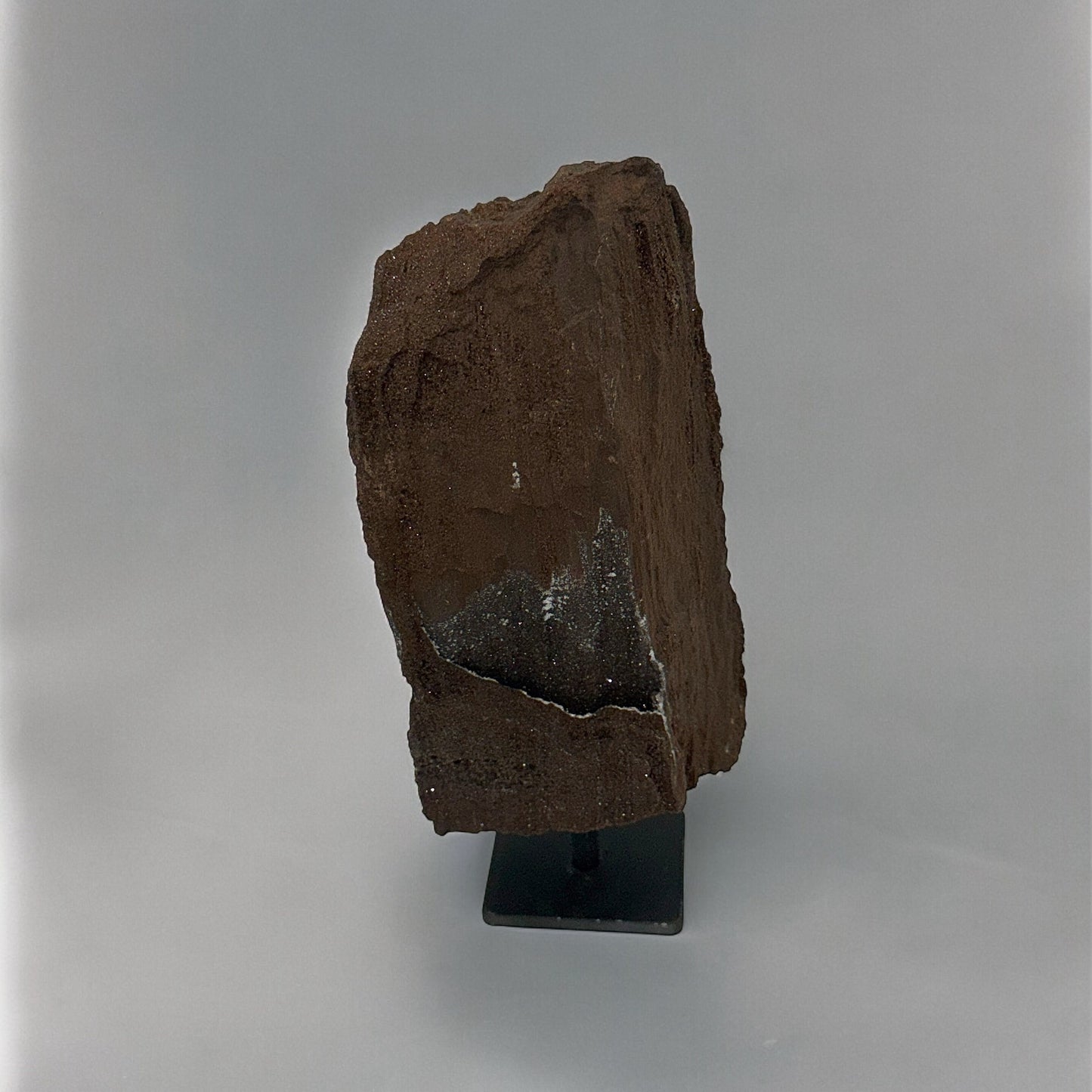 Petrified Wood with Quartz Druze Natural Art