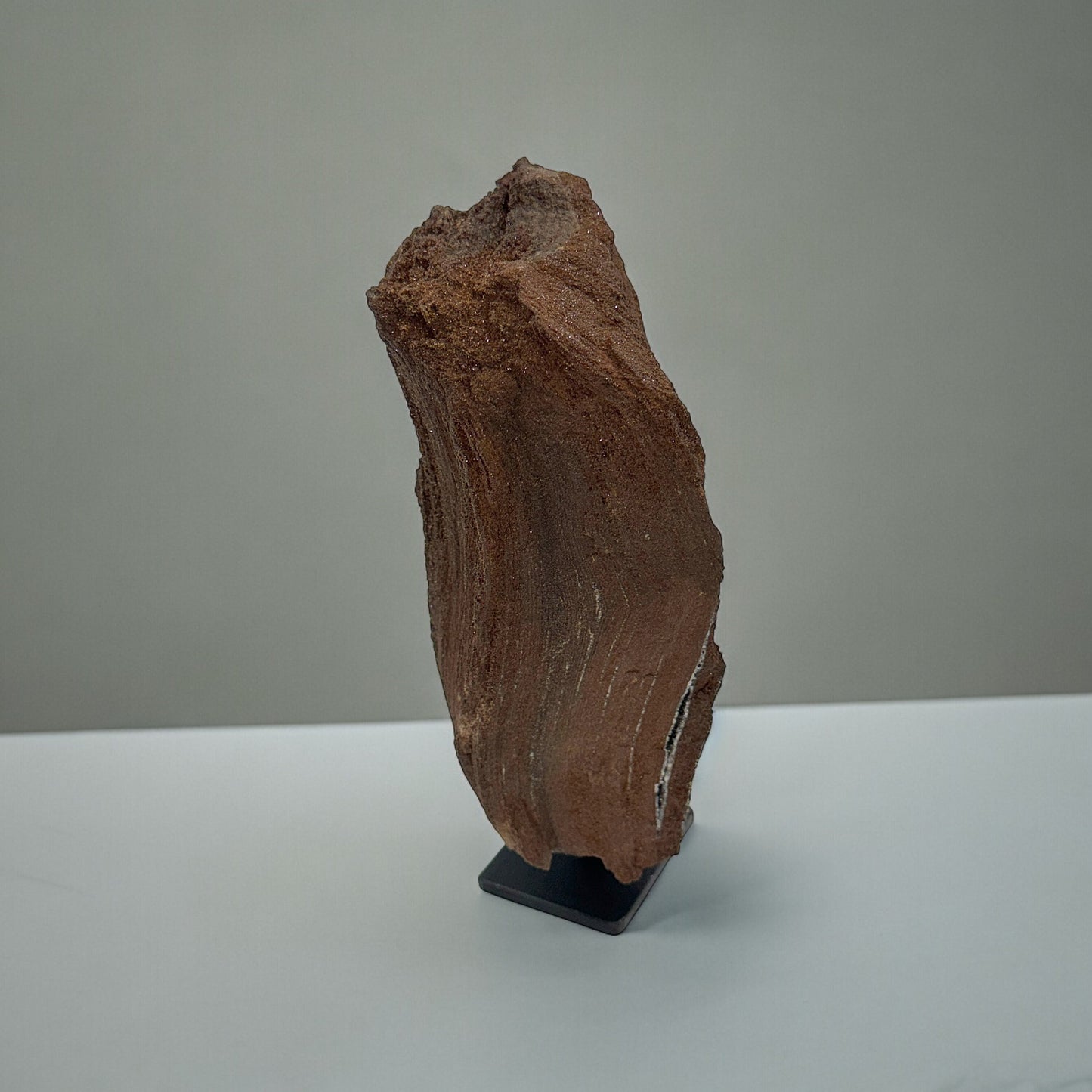 Petrified Wood with Quartz Druze Natural Art