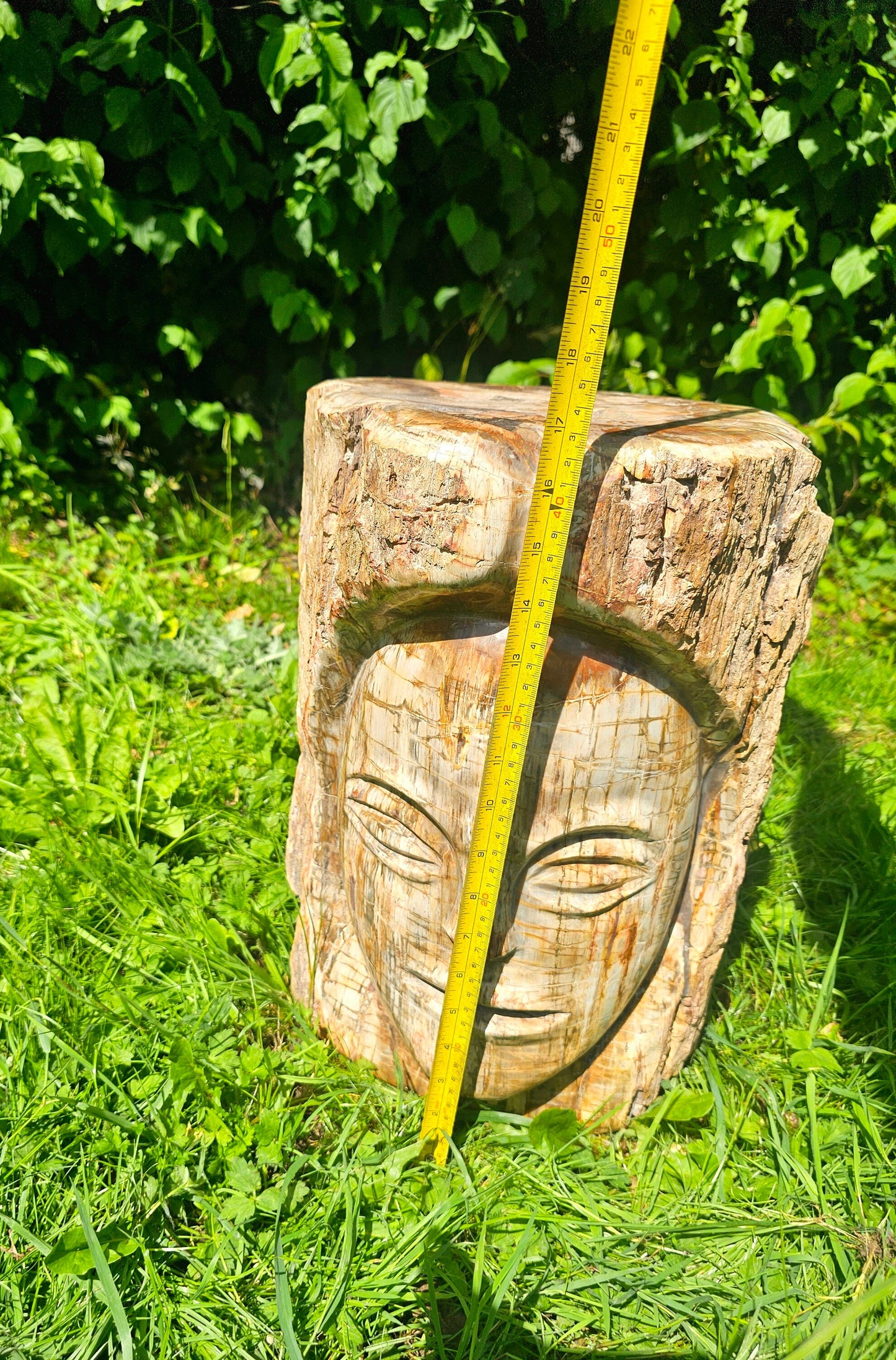 XL Large Petrified Fossil Wood Carving 62KG