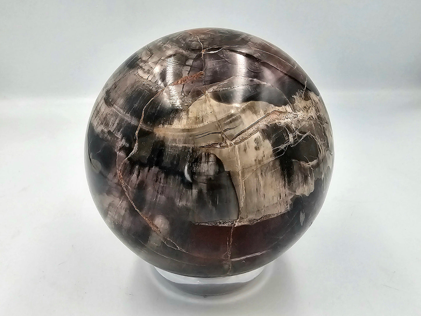 Large Petrified Fossil Wood / Crystal Sphere 3.87KG