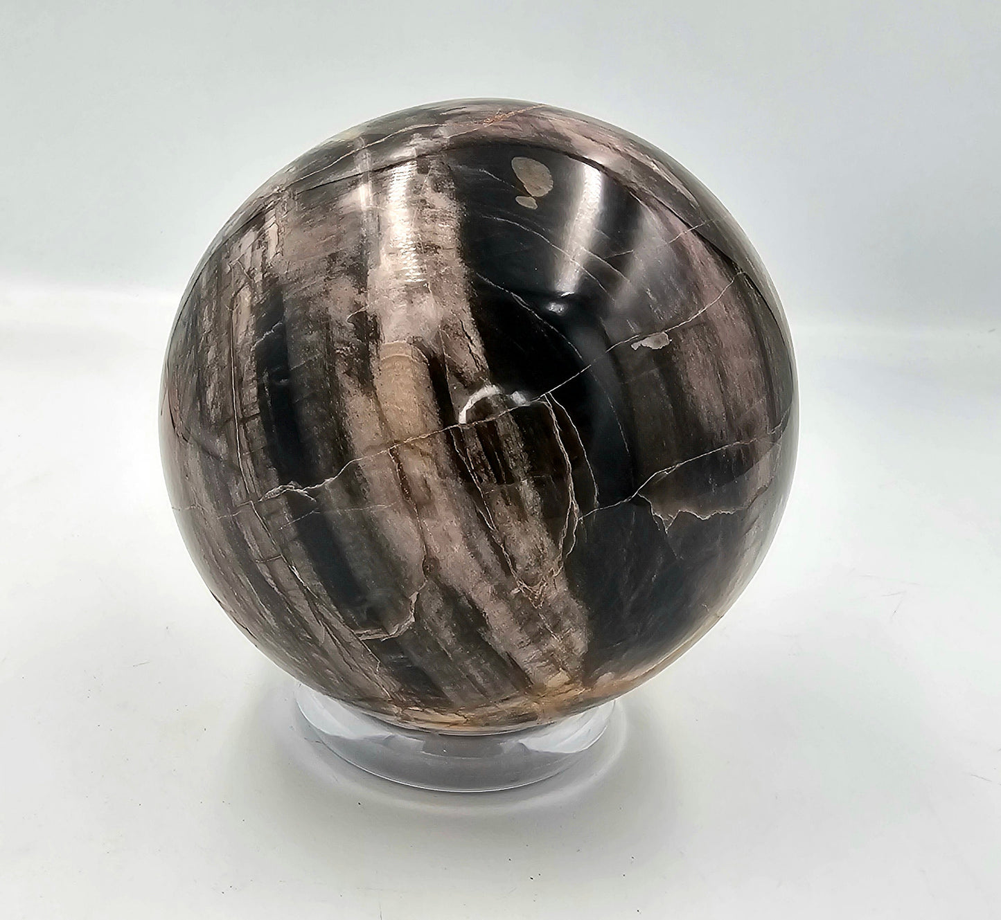 Large Petrified Fossil Wood / Crystal Sphere 3.87KG