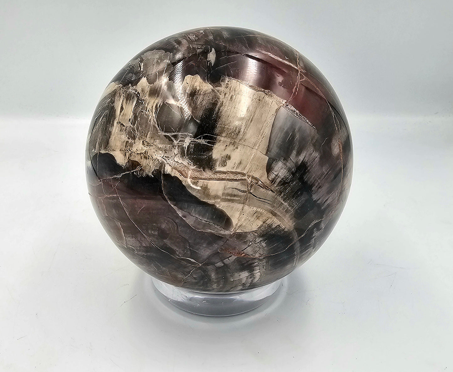Large Petrified Fossil Wood / Crystal Sphere 3.87KG