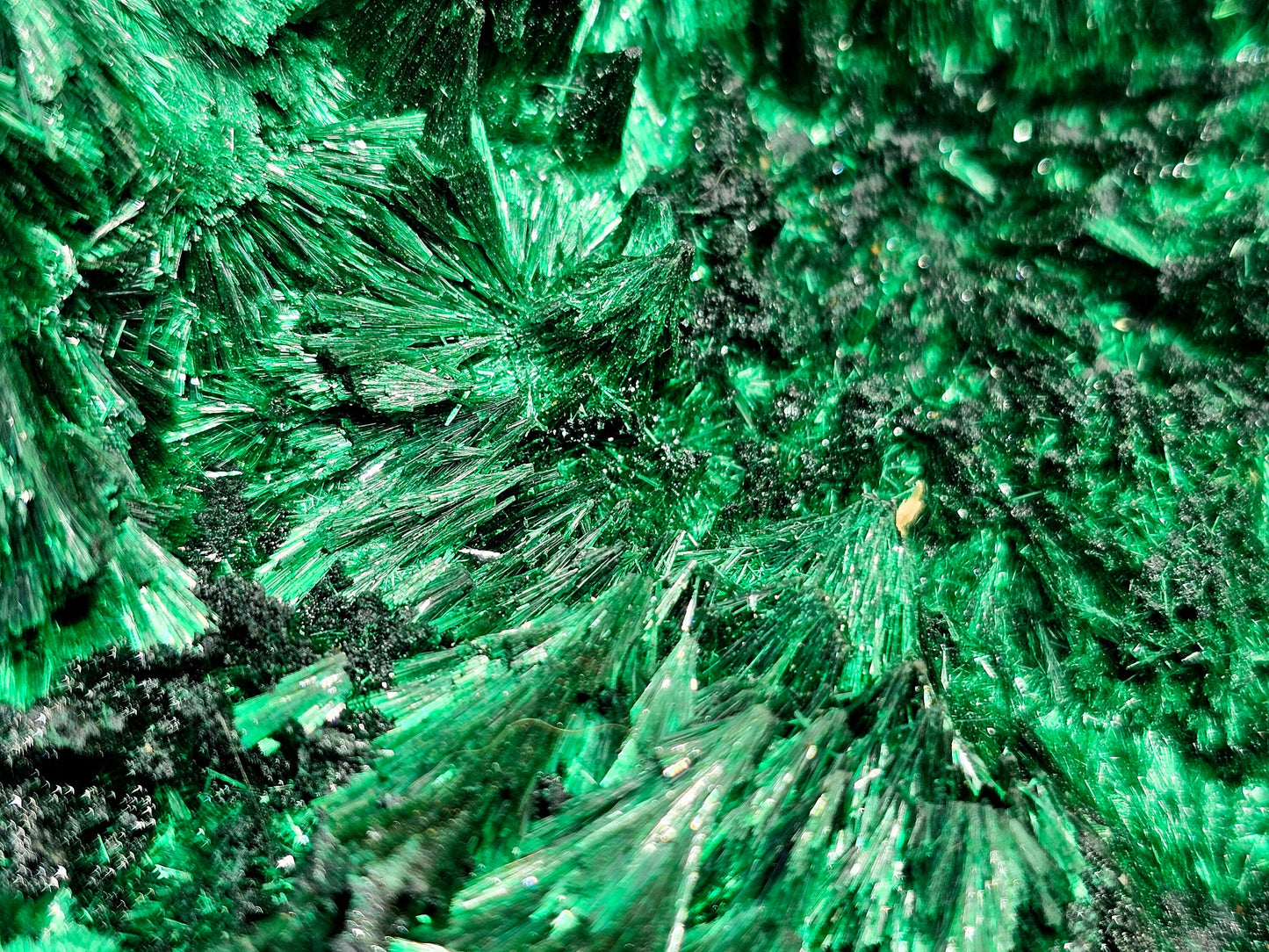 XL Velvet Malachite Crystal