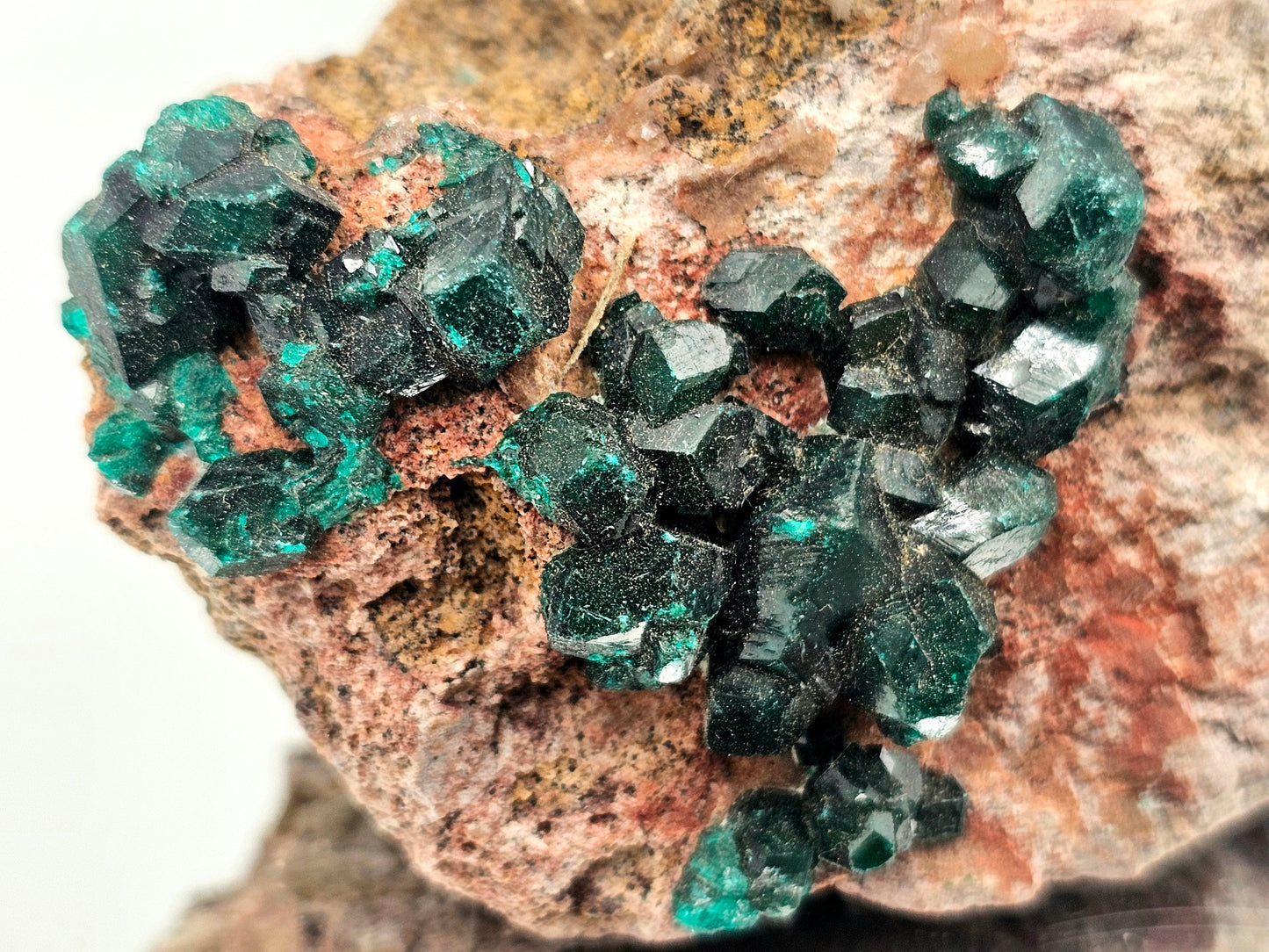 Extra Large Dioptase Crystal (#3)