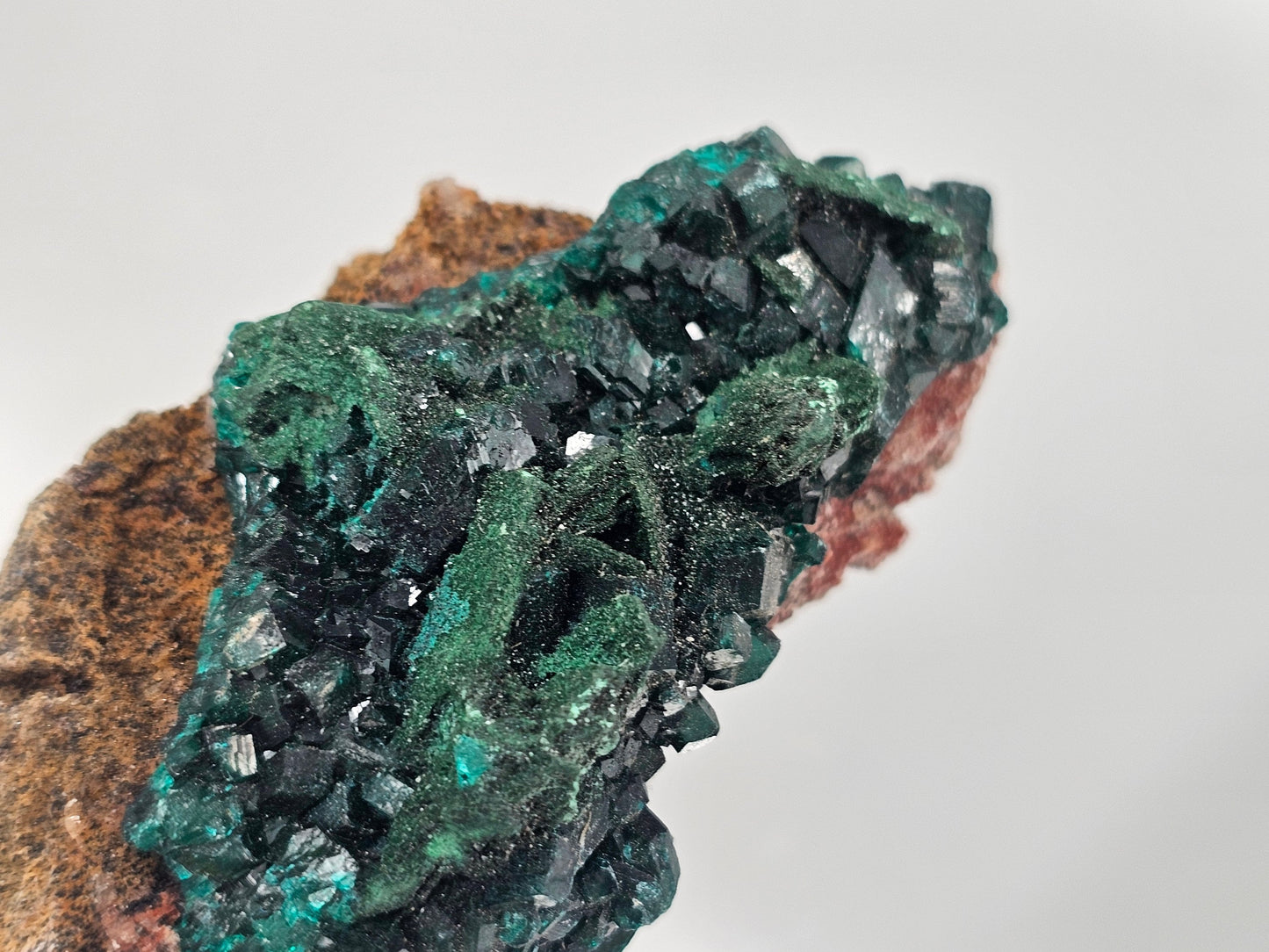Extra Large Dioptase Crystal (#2)