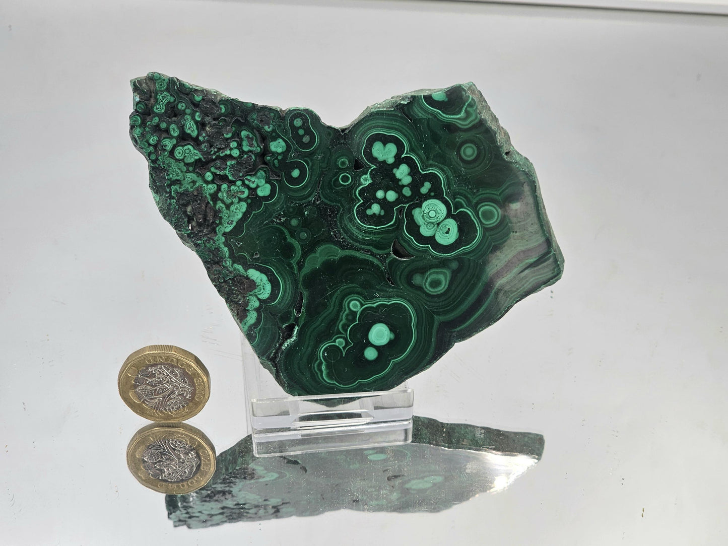 Large Malachite Flower Crystal Slice (#14)