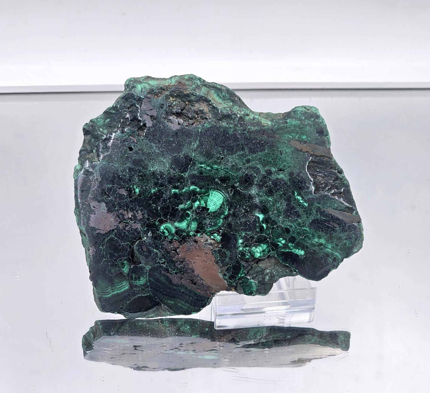 Glossy malachite crystal slice with deep green and teal patterns