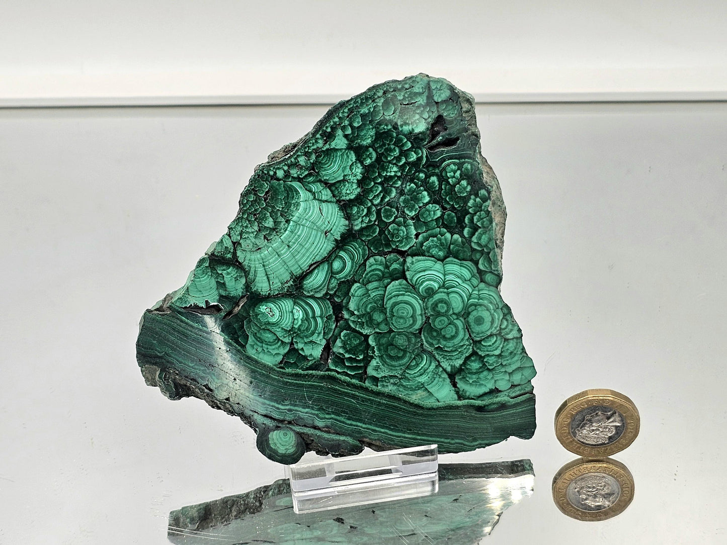 Malachite crystal slice showing unique green layers and swirls