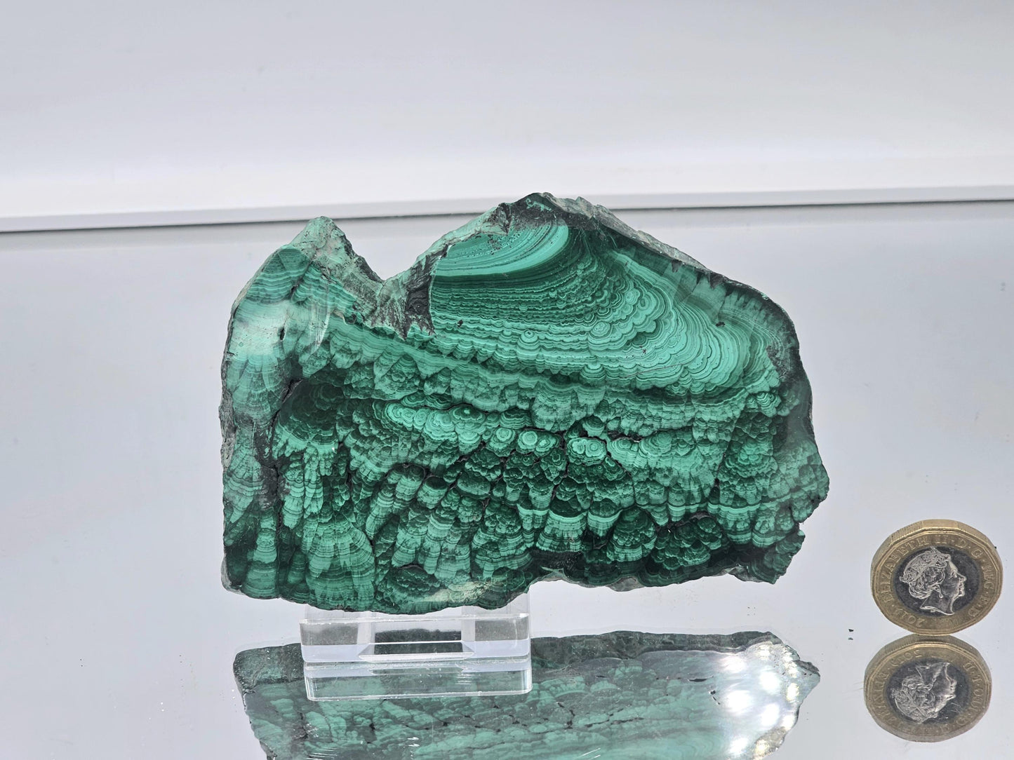 Natural malachite slice displaying deep green and light banding details