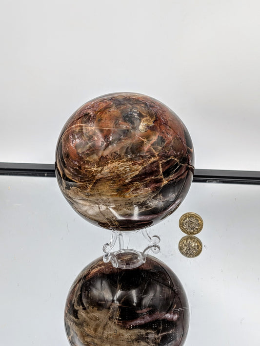 Large Fossil Wood Crystal Sphere (#1)