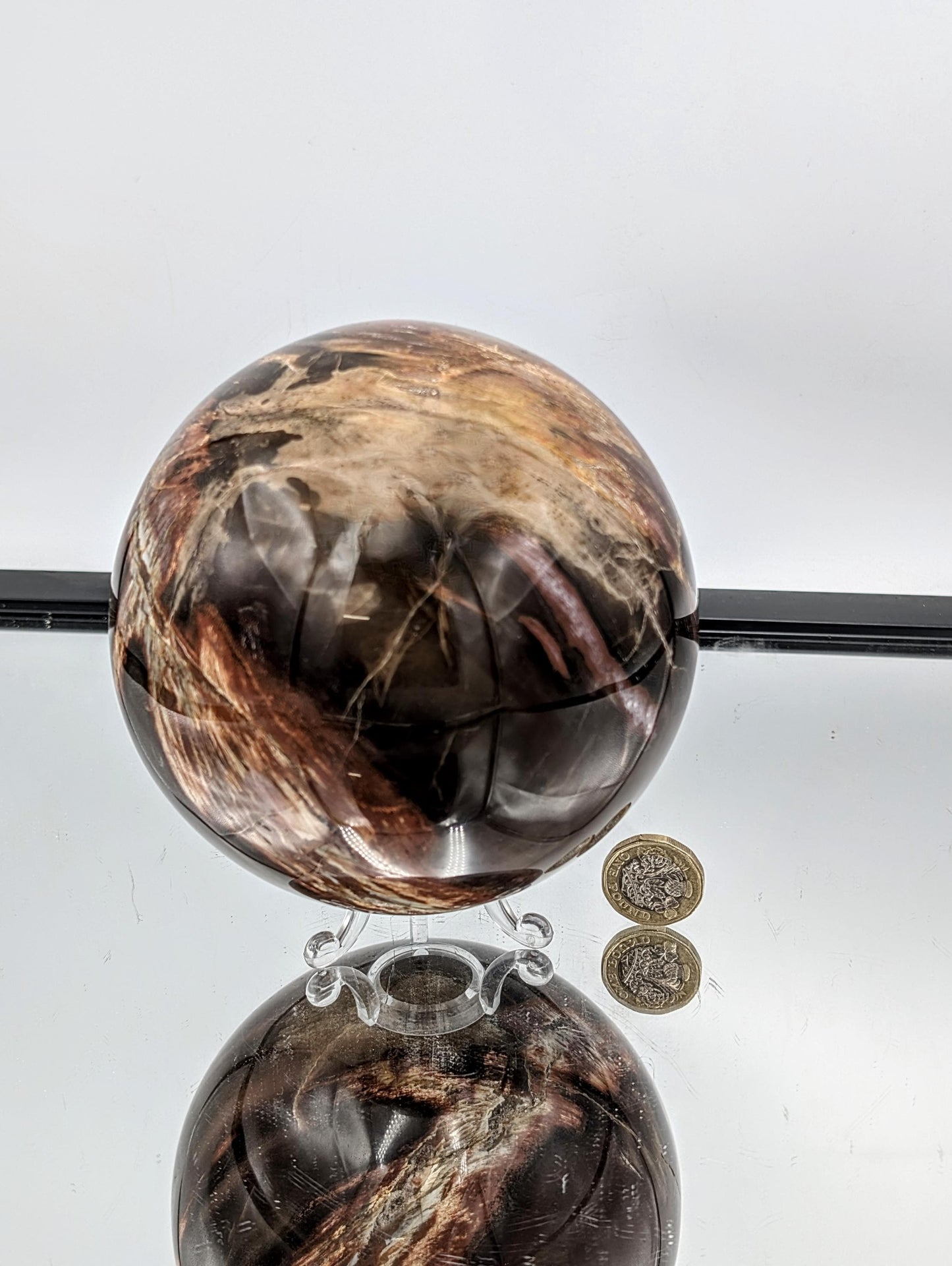 Large Fossil Wood Crystal Sphere (#1)