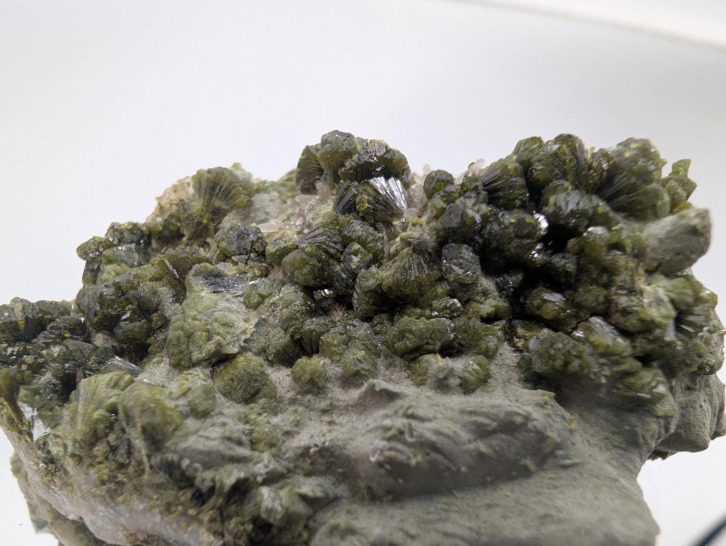 Forest Epidote On Quartz Crystal Fine Mineral (#4)