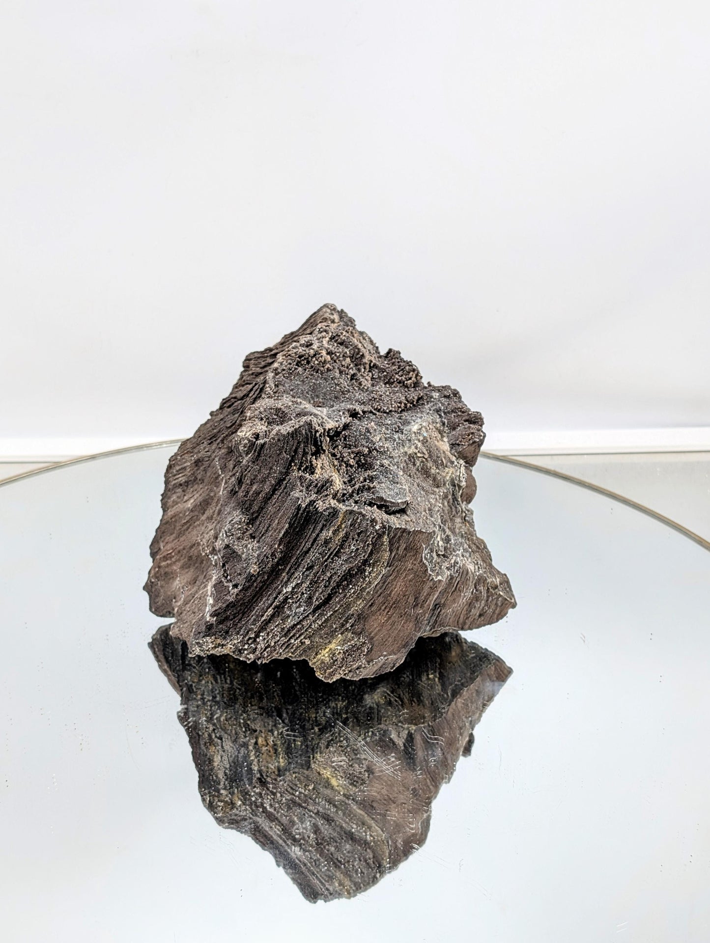 Fossil Wood Quartz Crystal Druze Rare Petrified Wood Germany (#7)