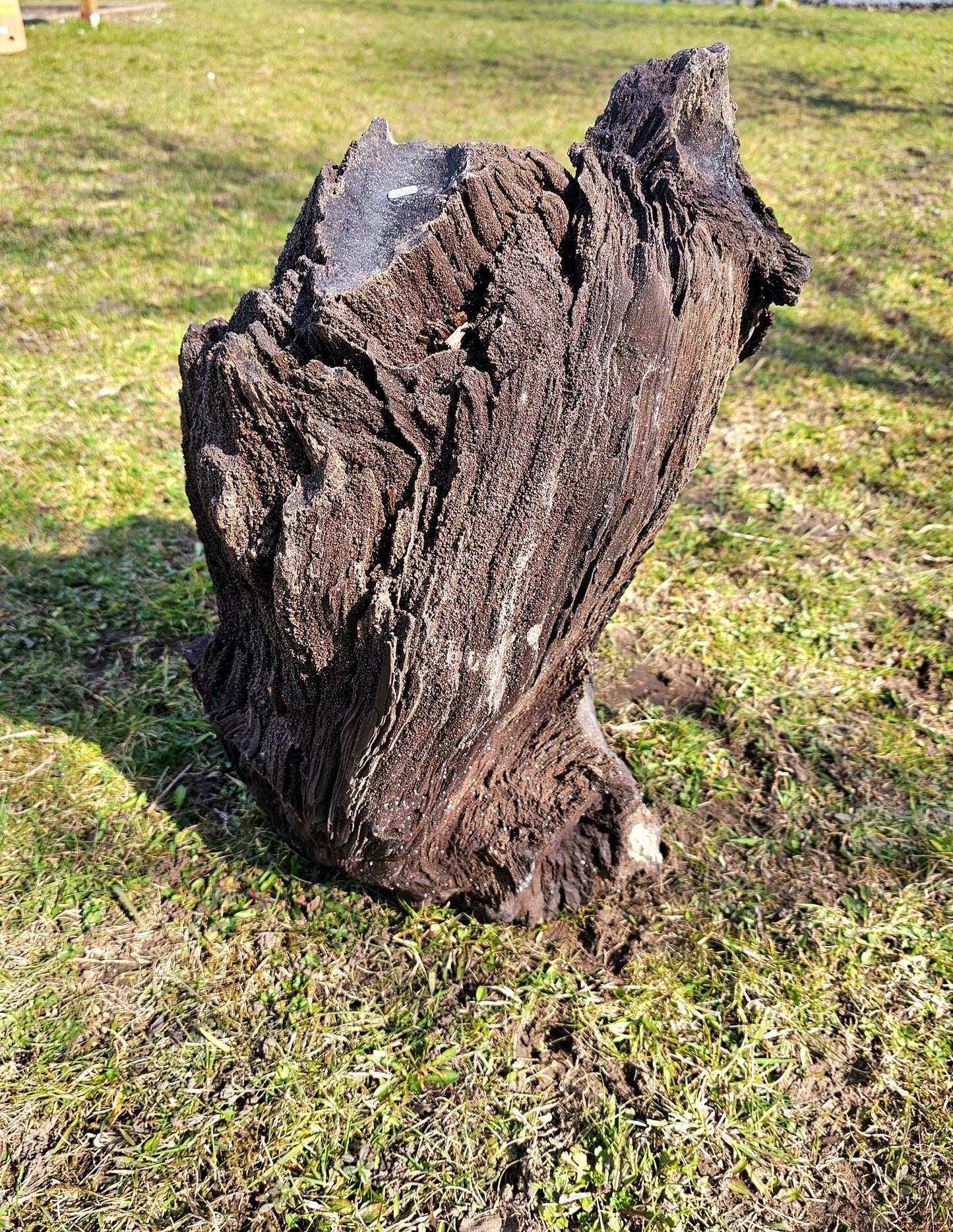 Large fossil wood quartz crystal druze rare petrified covered wood 50KG