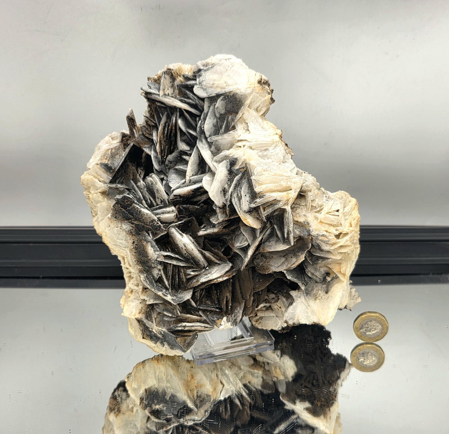 Large Noir Manganese Rose Crystal Baryte (#1)