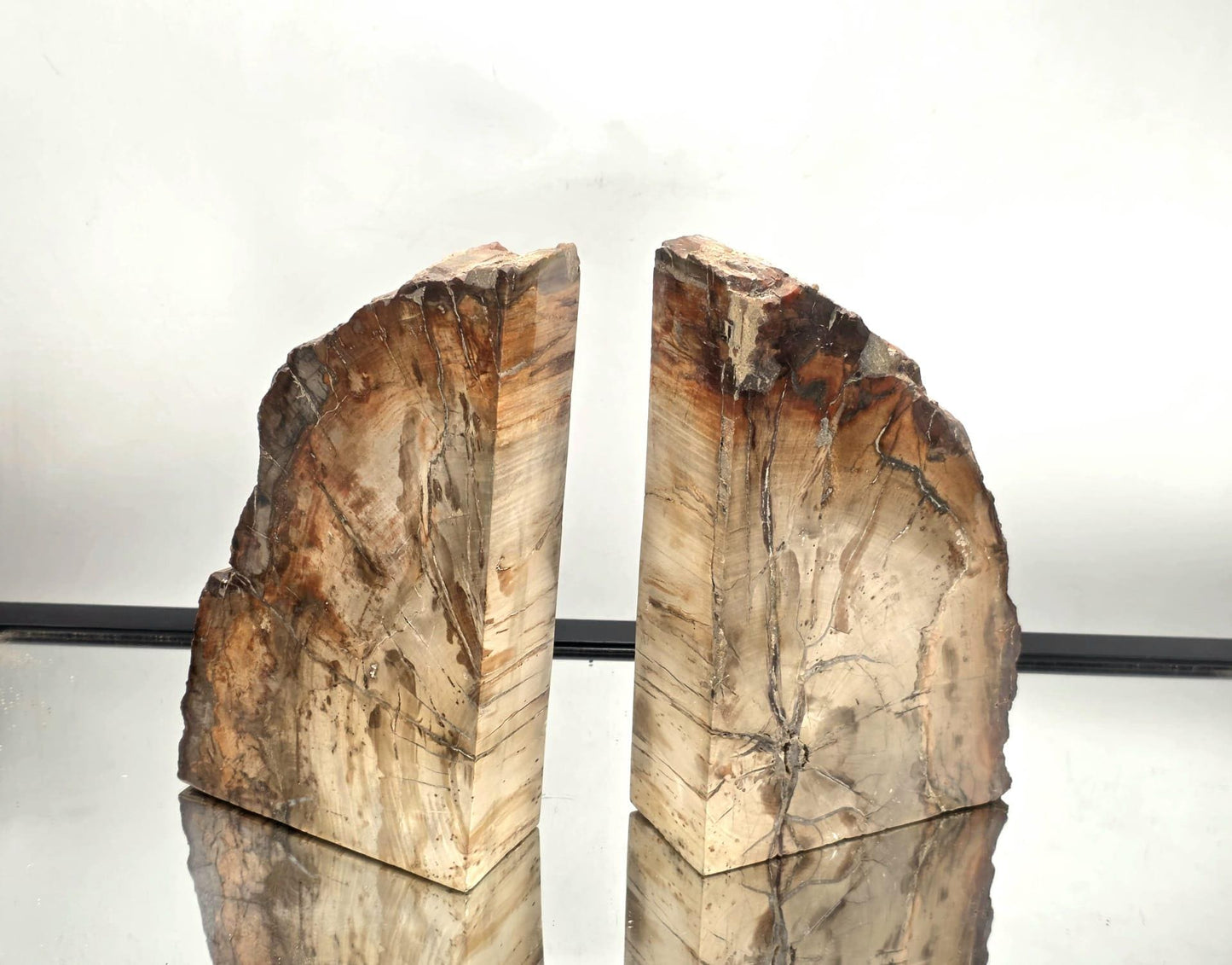 Fossil Wood Bookends (DP)