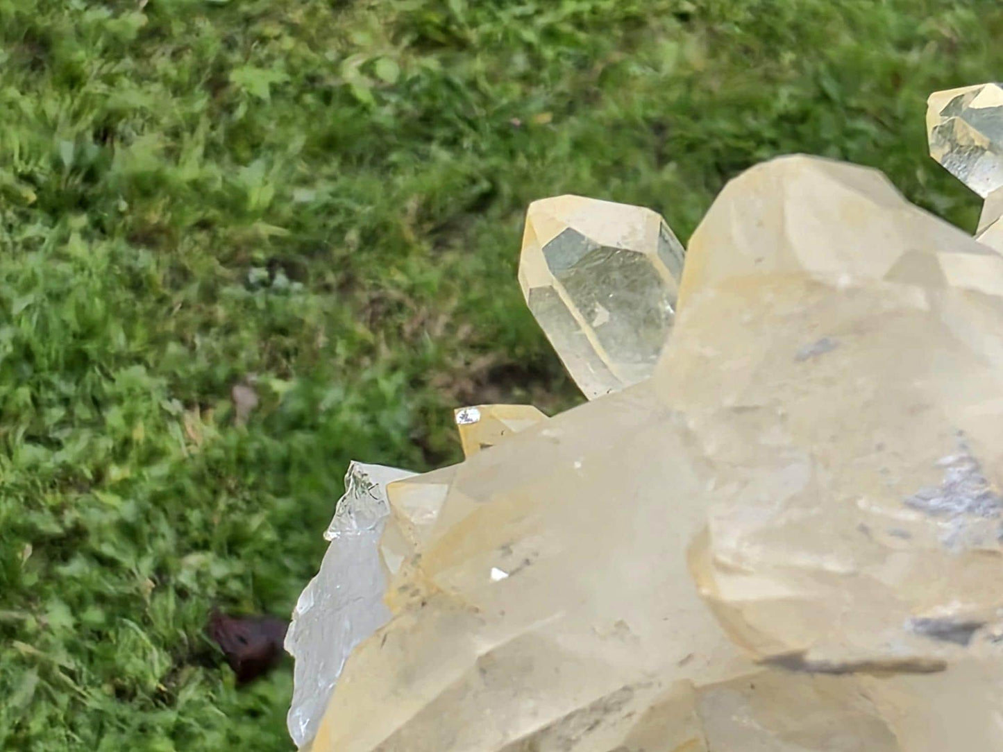 Madagascan Rich Citrine Crystal Cluster (DP)