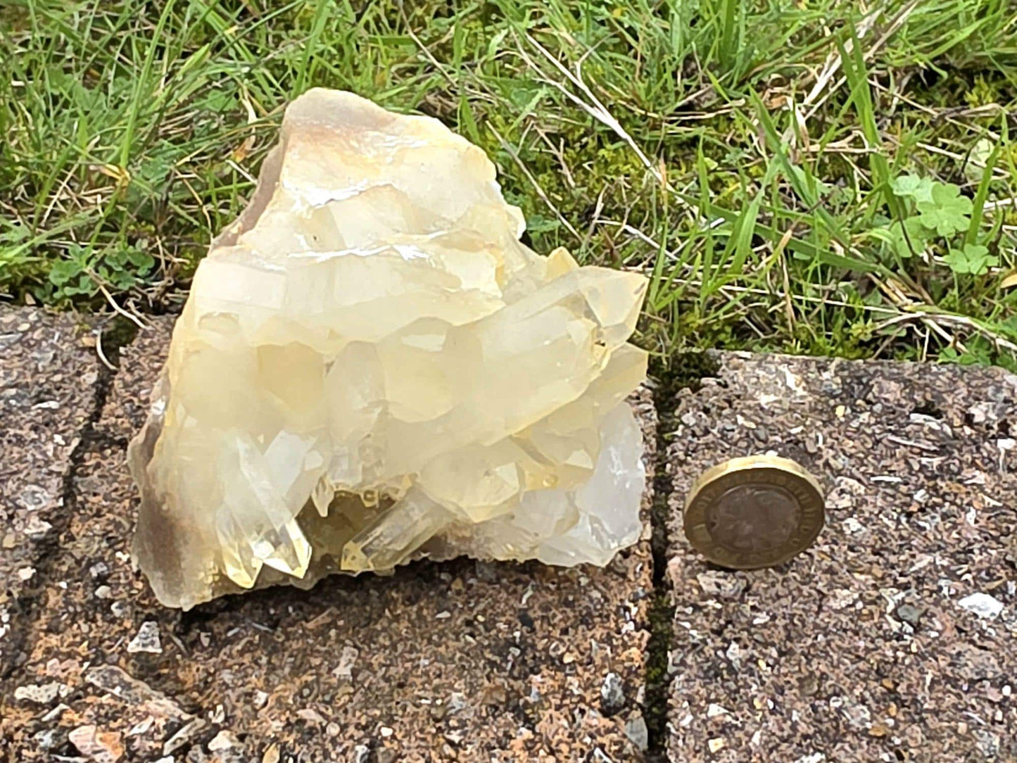 Madagascan Rich Citrine Crystal Cluster (DP)