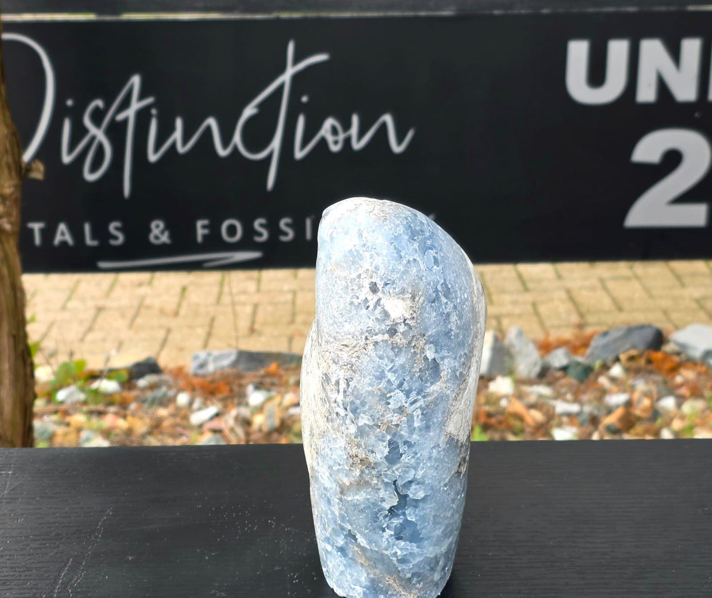 Exceptional Large Celestite Freeform #3 | 3.56 KG Blue Celestine Mineral Specimen | Natural Crystal with Cut Base | Collector Display