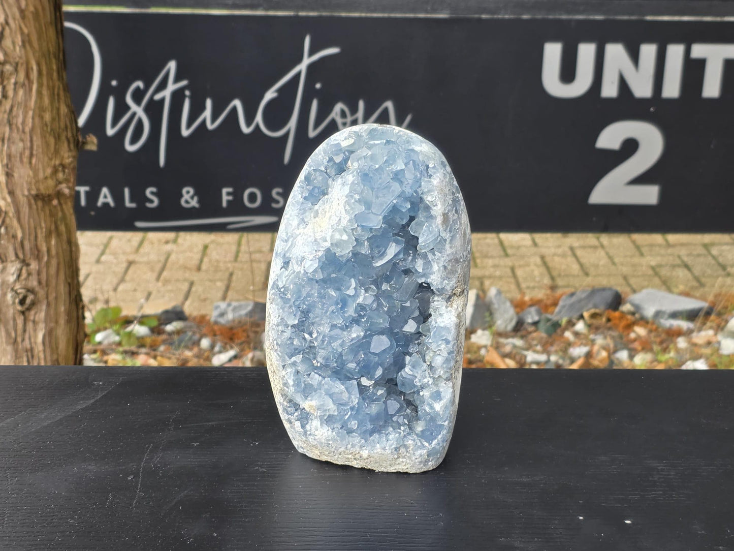 Large Celestite Freeform #1 | 6.36 KG Blue Celestine Mineral Specimen | Natural Crystal with Cut Base | Collector Display