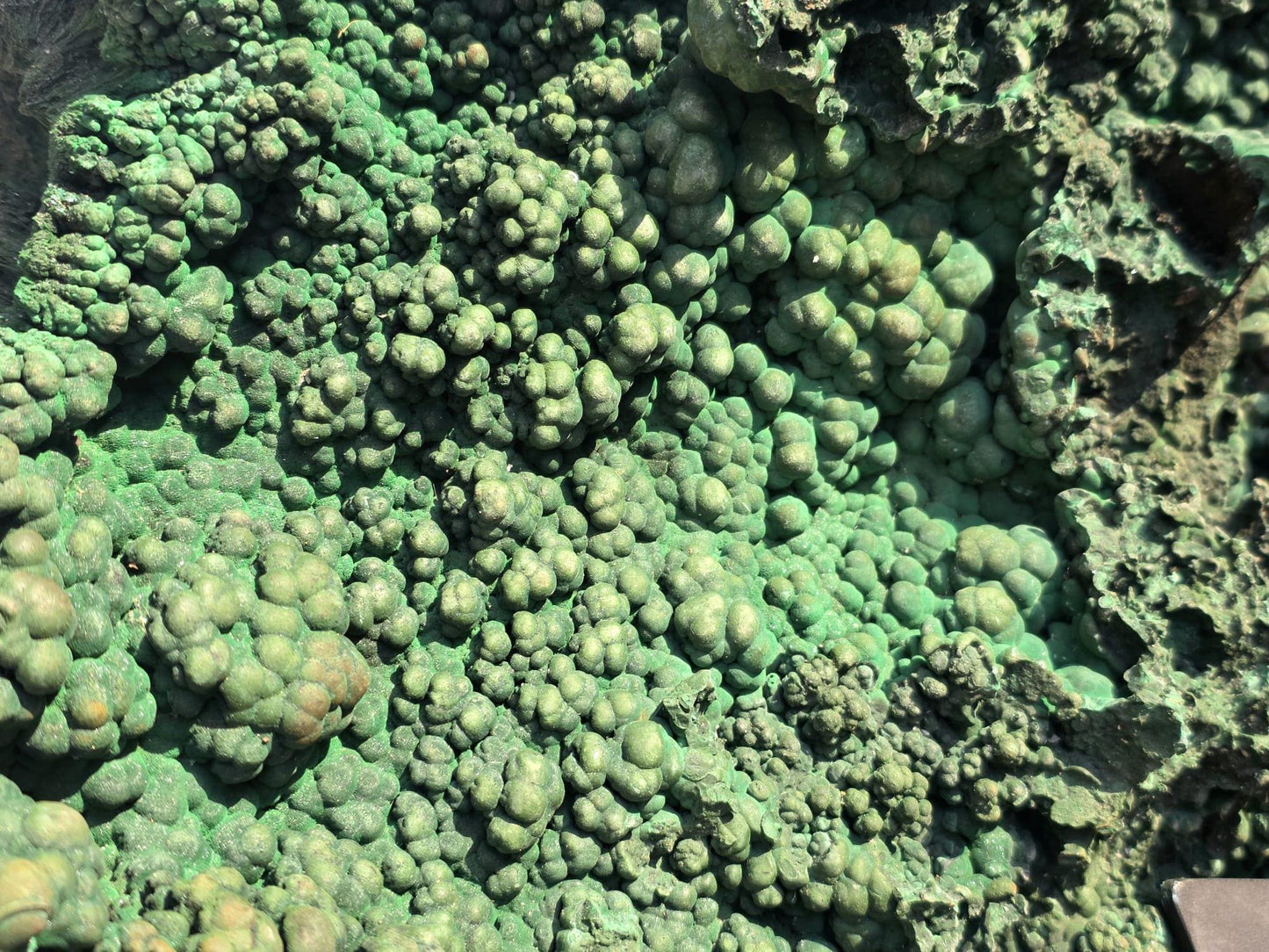 Large Natural Malachite Botryoidal Crystal on Custom Stand – Statement Mineral Display | Collector’s Piece