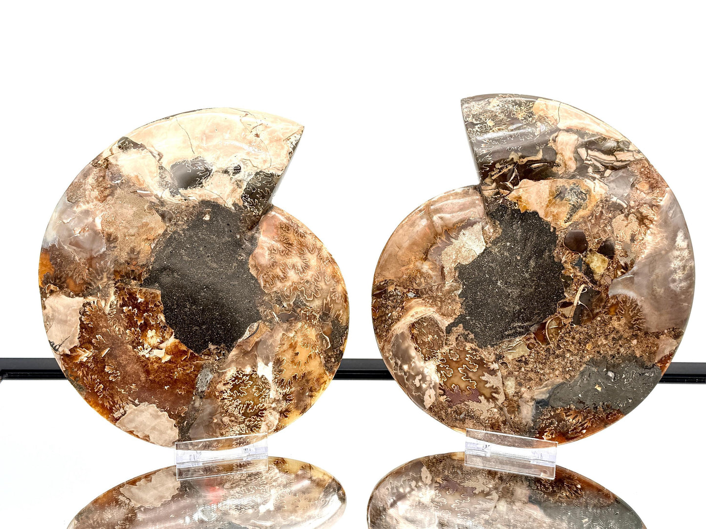 Ammonite Fossil Pair - 2.11KG - #26