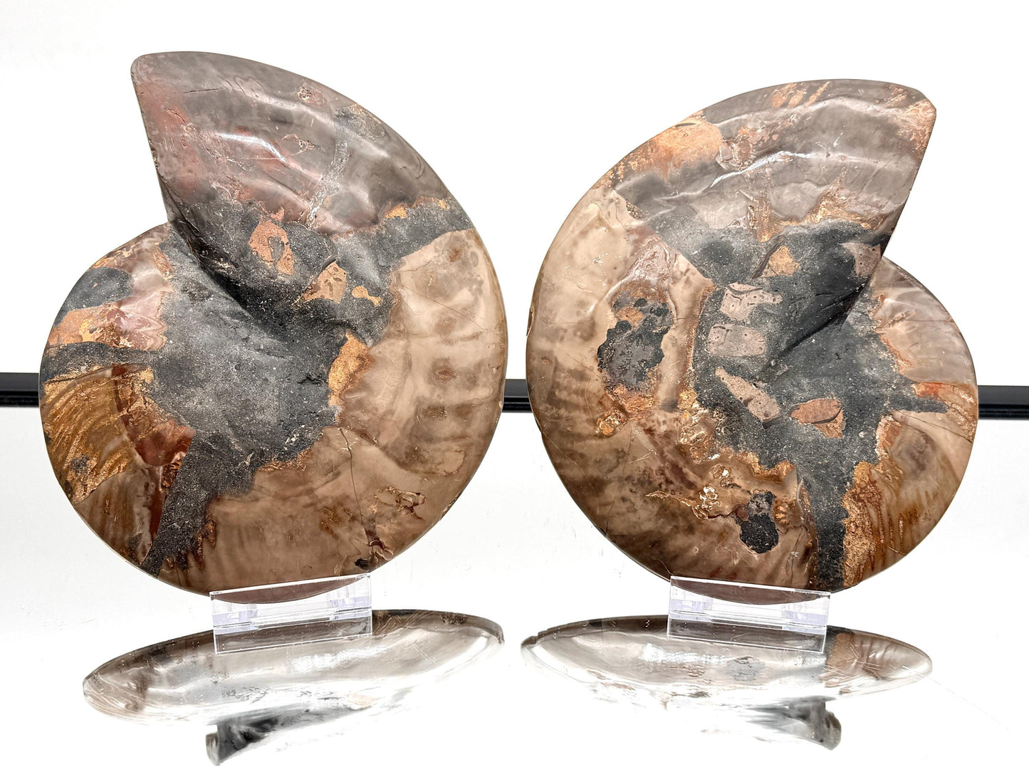 Ammonite Fossil Pair - 1.57KG - #47