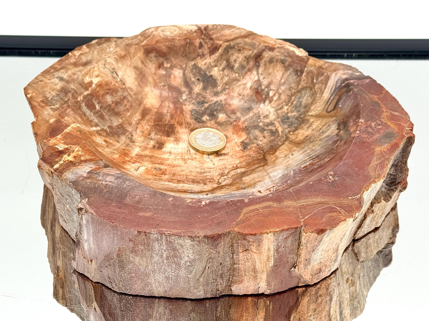 Large Fossil Wood Crystal Bowl | Natural Home Decor (#1)