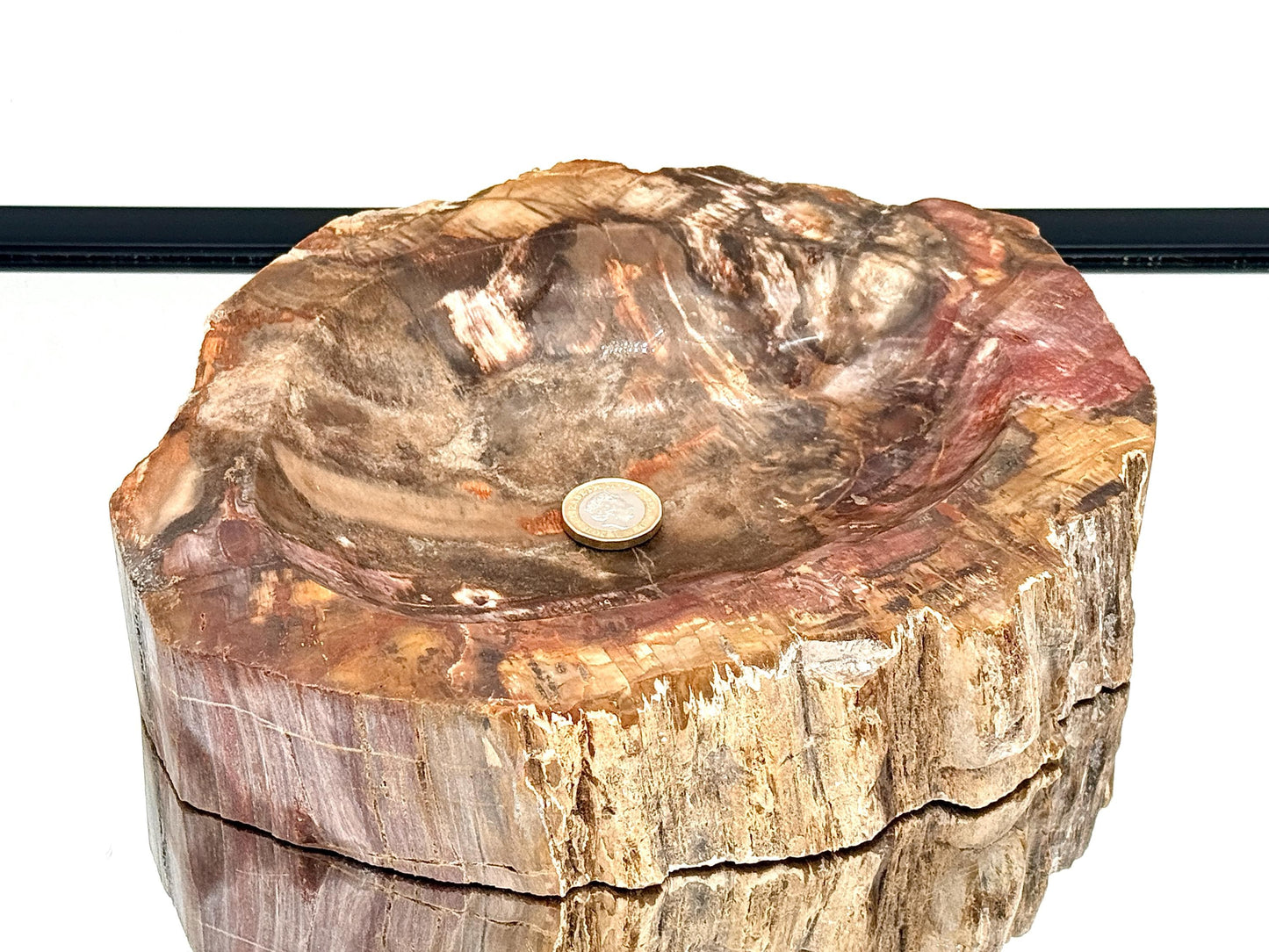 Large Fossil Wood Crystal Bowl | Natural Home Decor (#4)