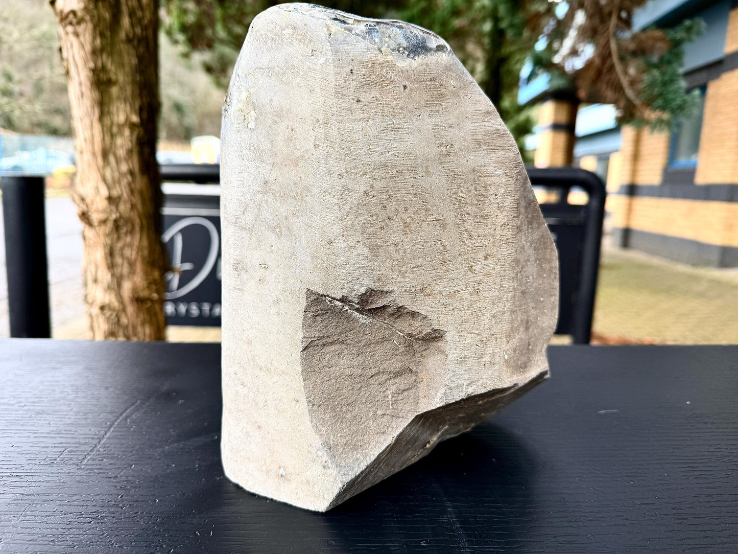 Extra Large Natural Black Amethyst Crystal Geode (#2)