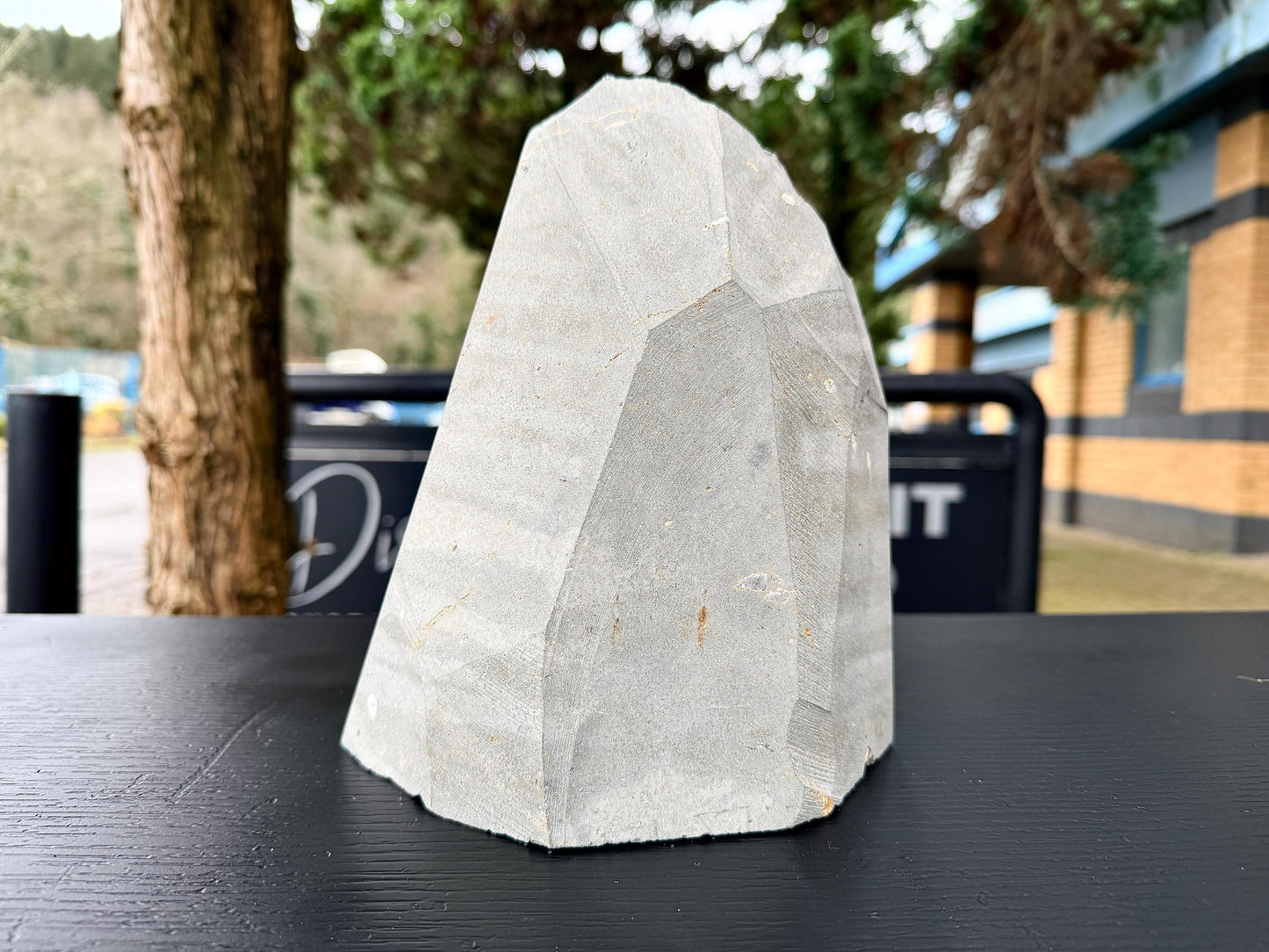 Extra Large Natural Black Amethyst Crystal Geode (#1)