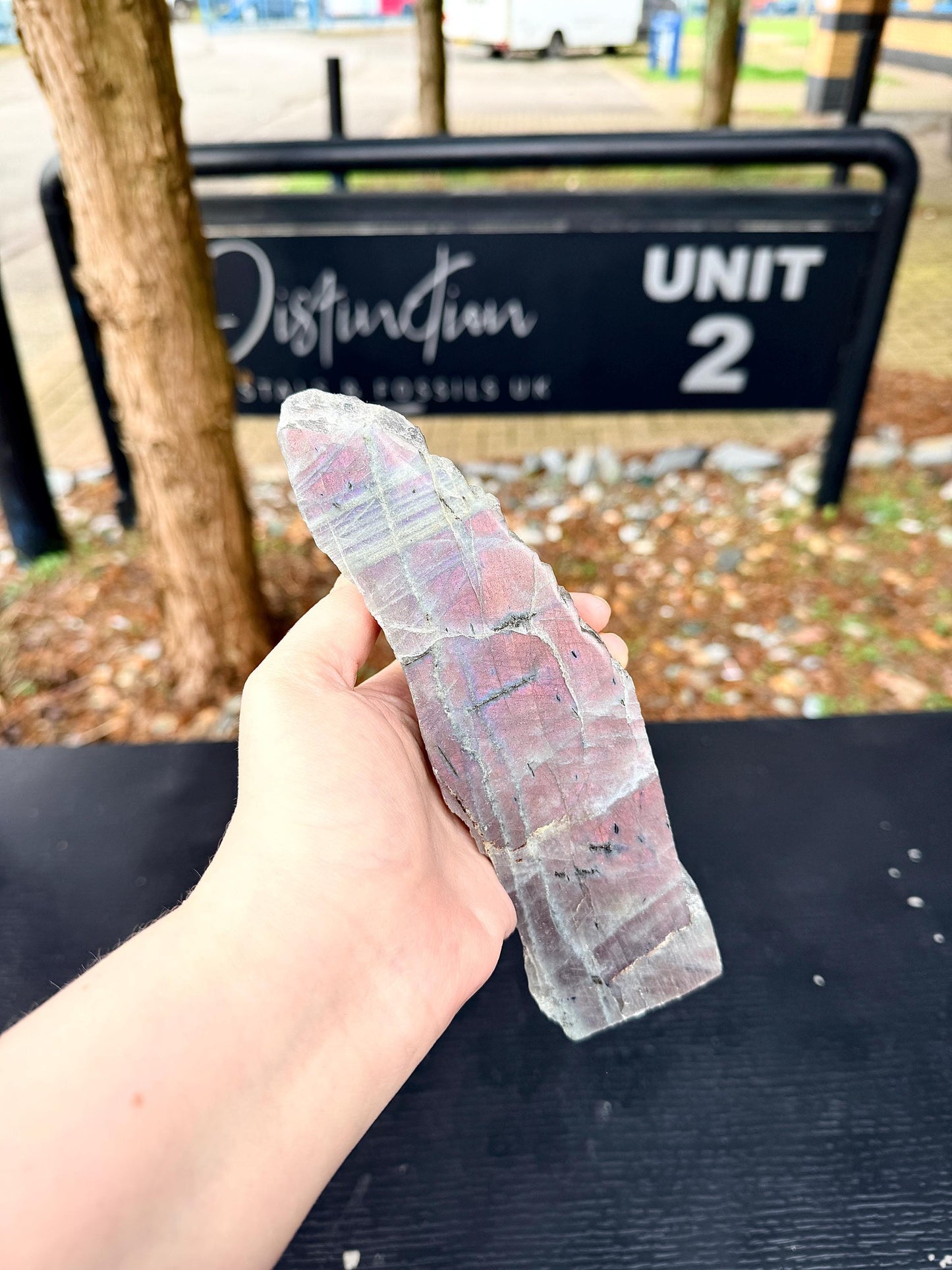 Purple Labradorite Crystal Freestanding (#6)