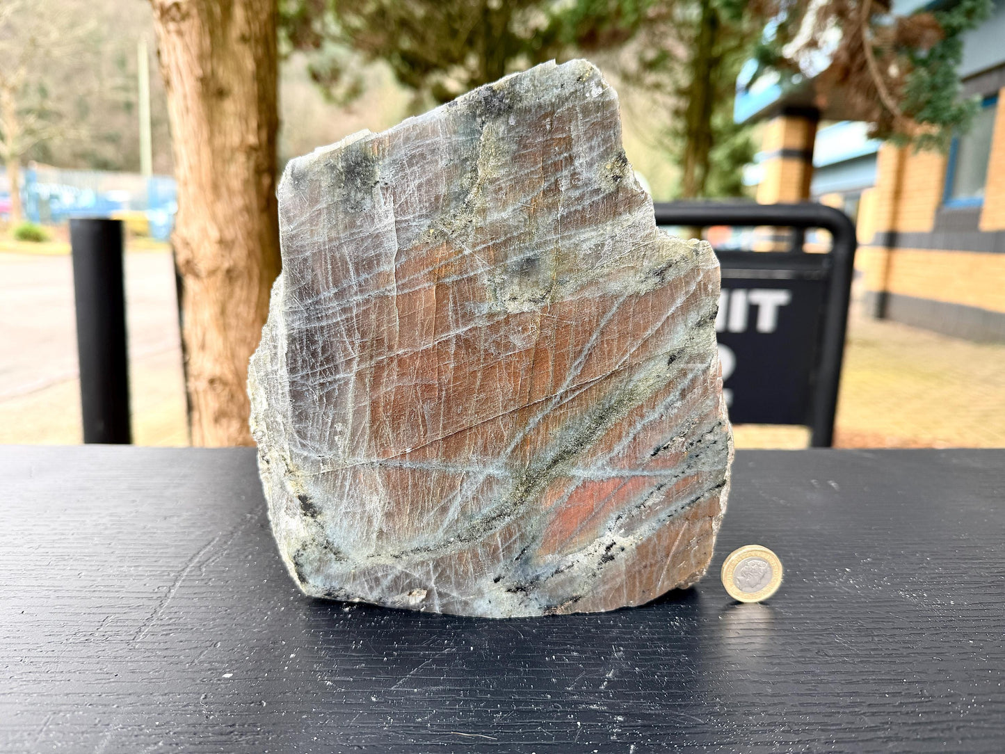Large Purple Labradorite Crystal (#7)