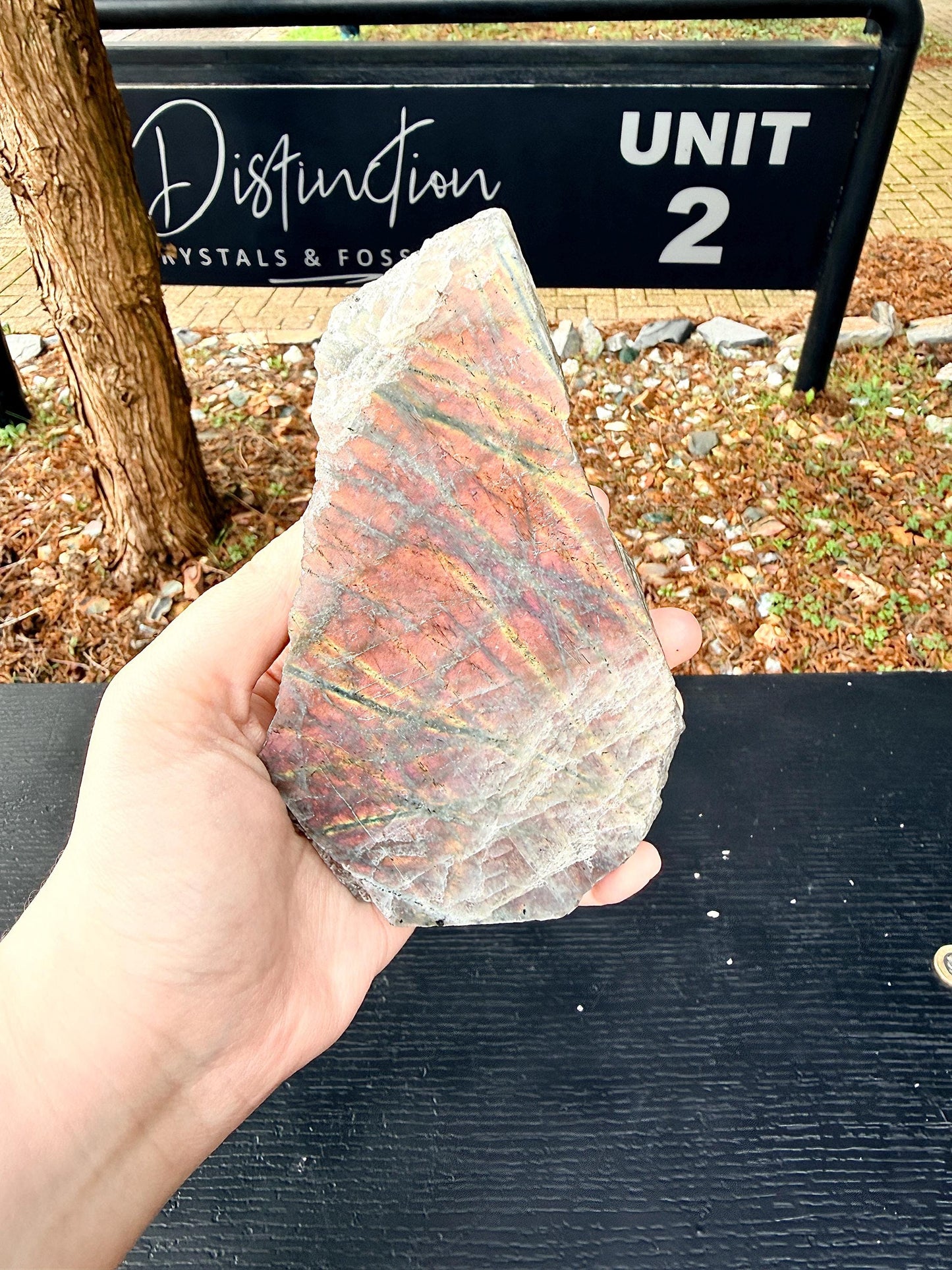 Purple Sunset Labradorite Crystal Freestanding (#4)