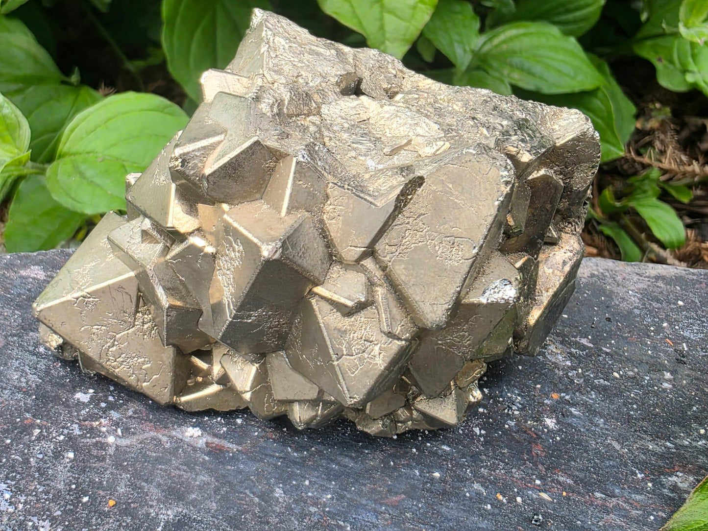 Large Peruvian Octahedral Pyrite Crystal Cluster | “Fool’s Gold” Specimen #11