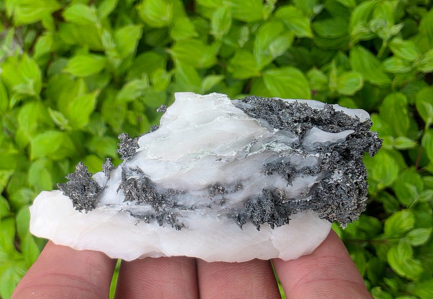Native Silver Crystal in Calcite Matrix | Collectors Grade Mineral Specimen #14