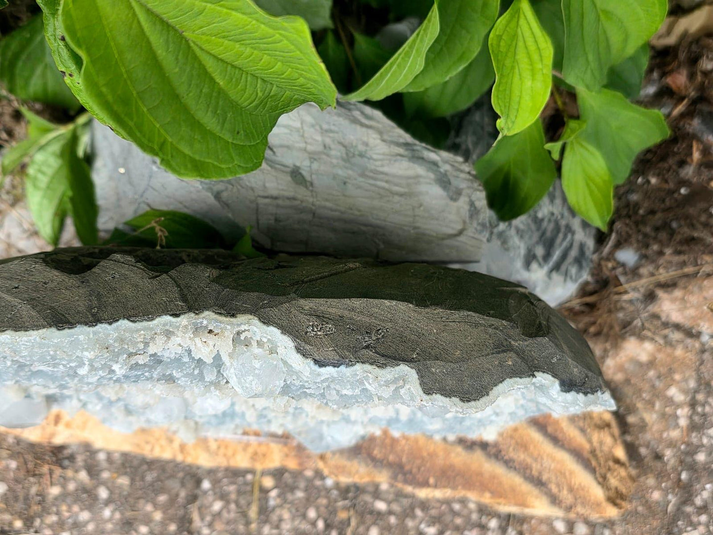 XL Blue Chalcedony and Apophyllite Crystal Cluster | 9.64kg (#DP)