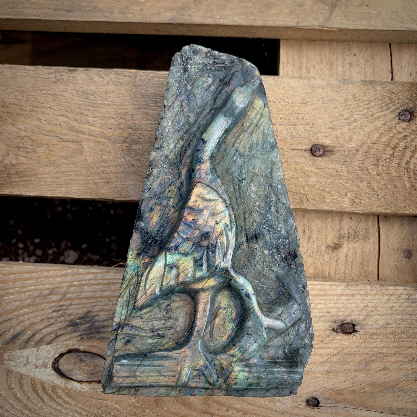 Labradorite Heron Bird Crystal Carving | 2.7kg