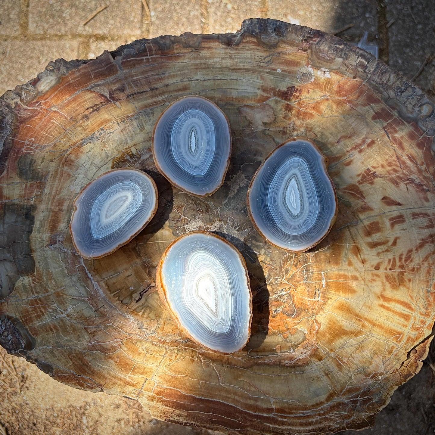 Agate Crystal Slice Set of 4 | Natural Banded | Crystal Home Decor | 462g #9