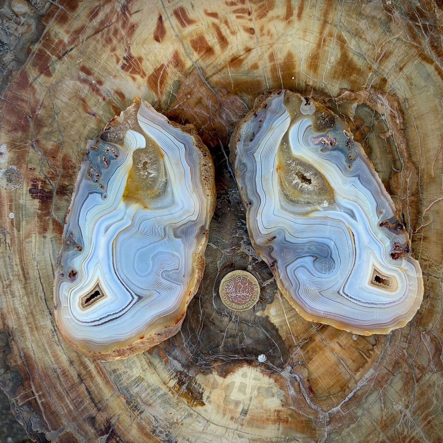 Agate Crystal Slice Set of 2 | Crystal Home Decor | 717g