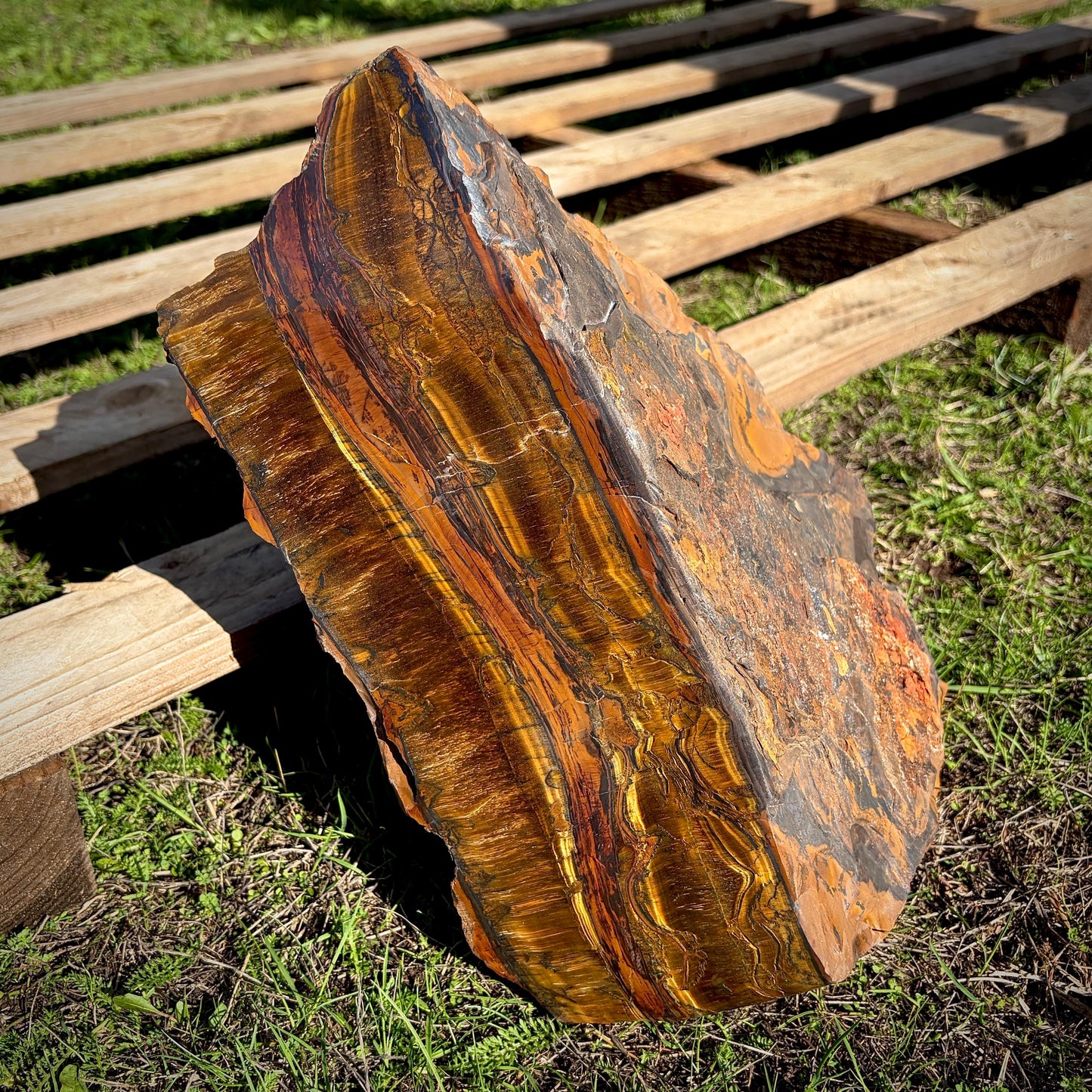 XL Tigers Eye Crystal | 16.9kg Part Polished