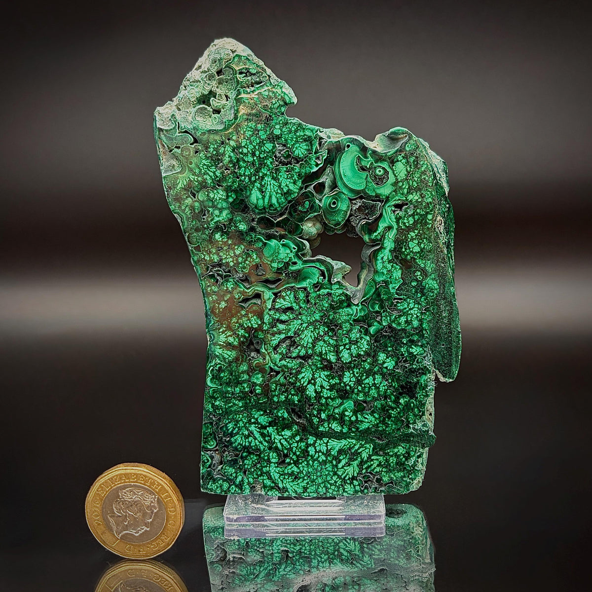 Floral Malachite Collector Specimen | Natural Banded Malachite Slice | 275g #6
