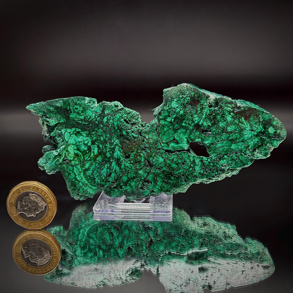 Floral Malachite Collector Specimen | Natural Banded Malachite Slice | 203g #5